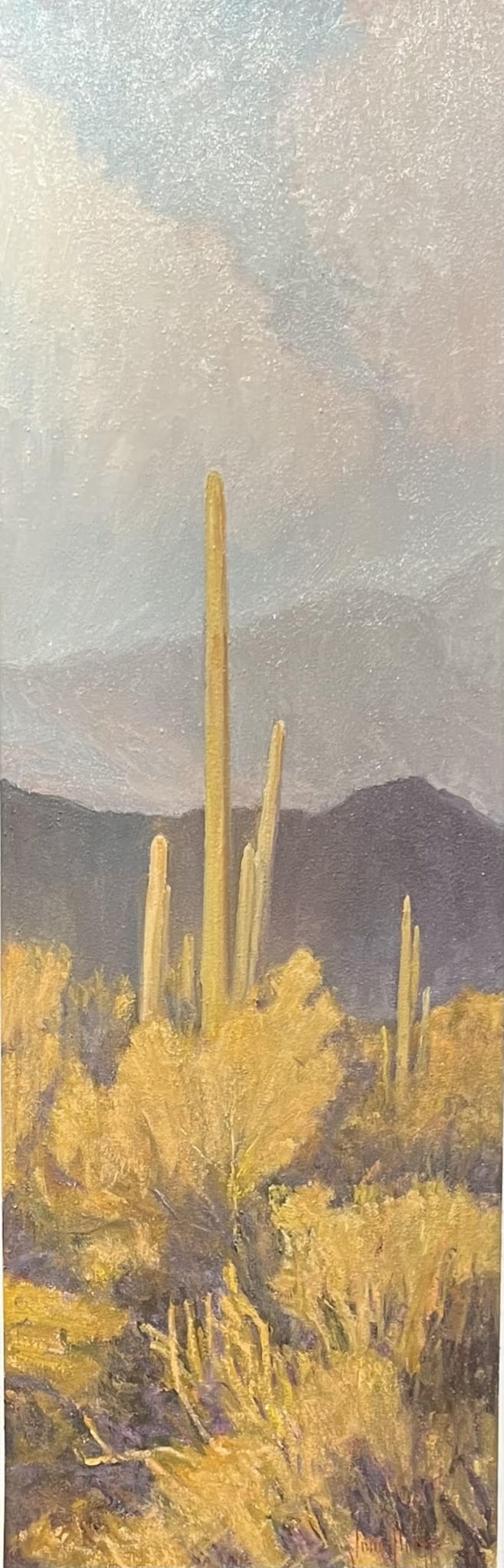 Desertscape--Desert Sky by John Horejs