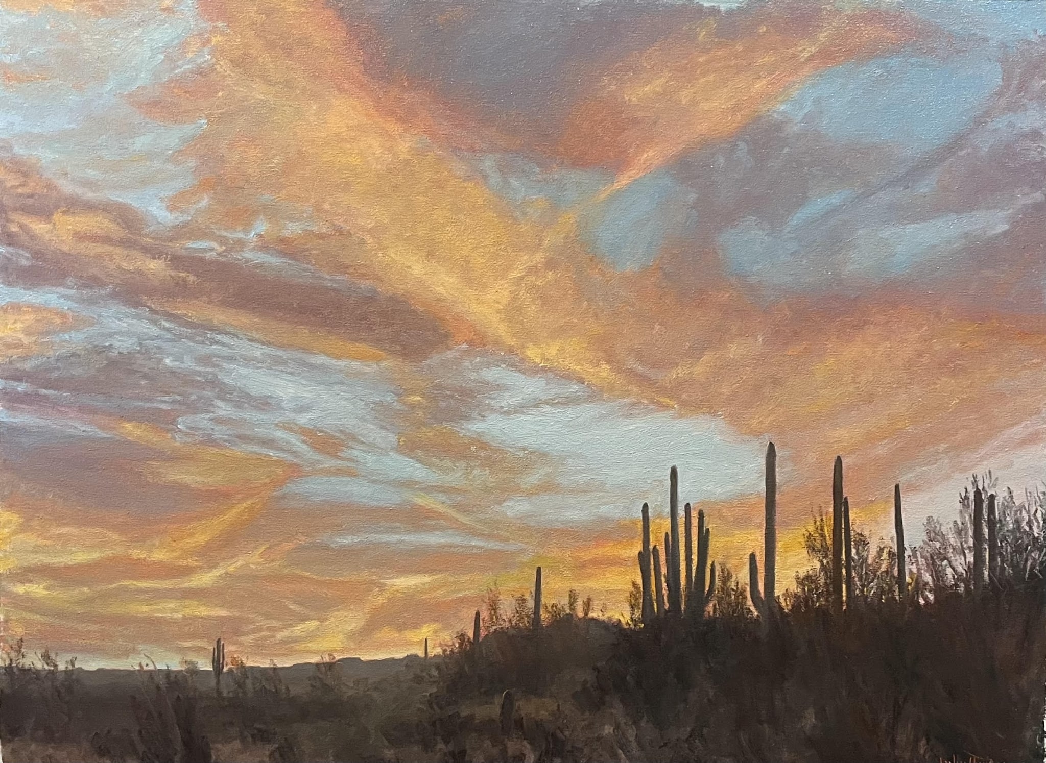 Desertscape--Arizona Evening Glow by John Horejs