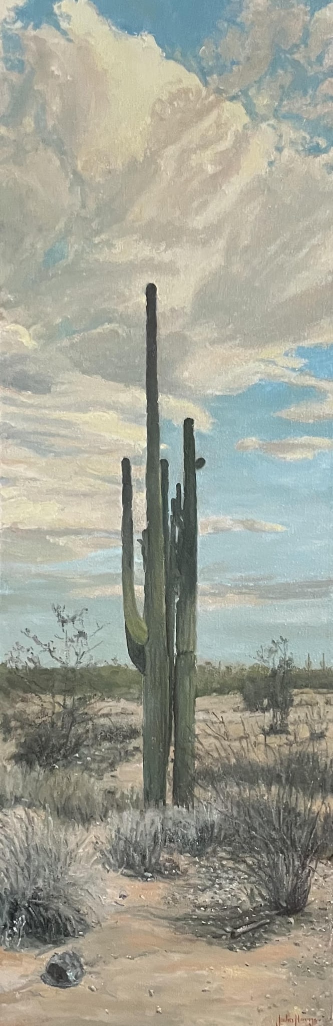 Saguaros and Sky by John Horejs