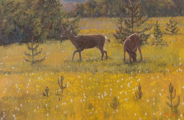 Wildlife--Alturas Meadow by John Horejs
