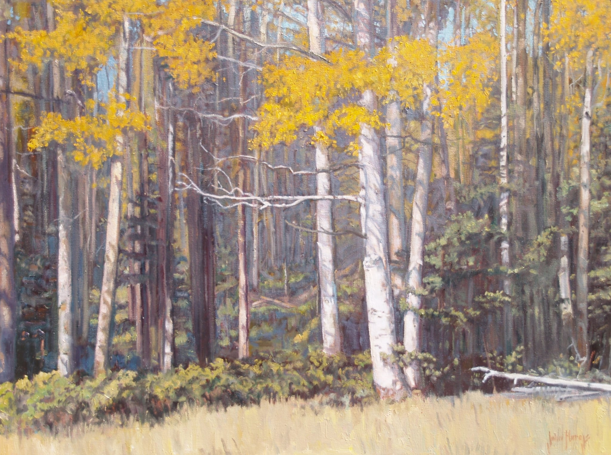 Trees--Autumn Shadows by John Horejs