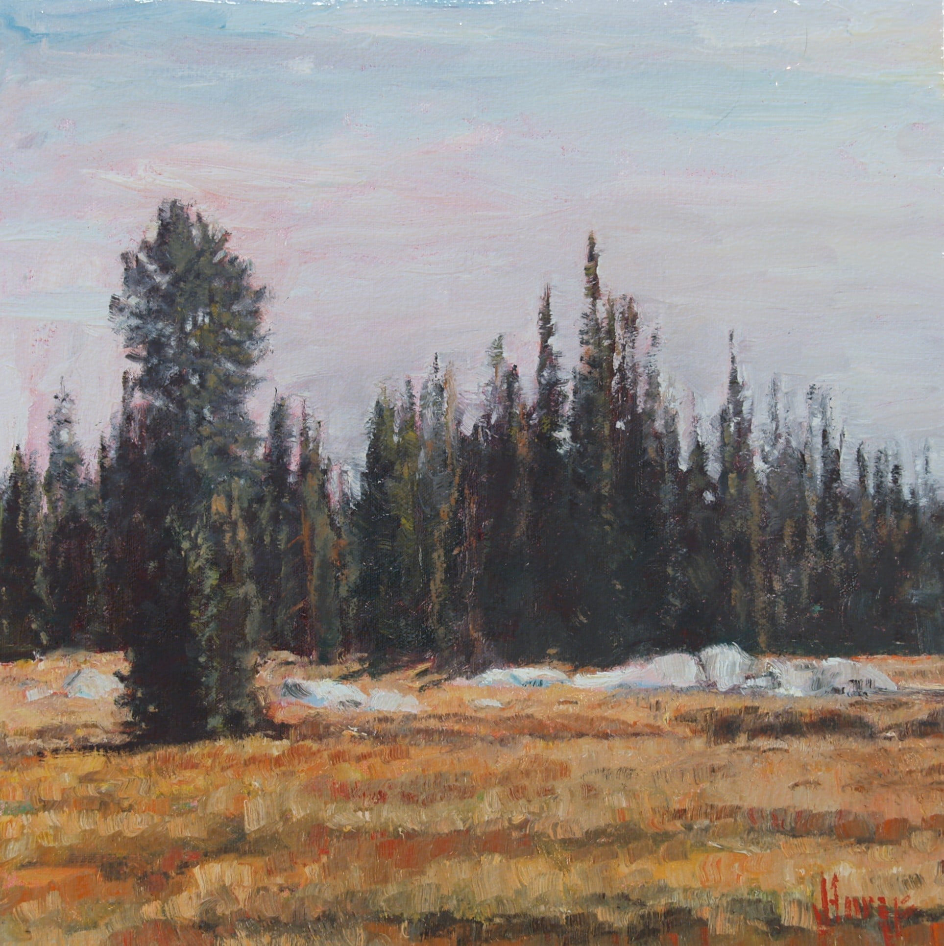 Trees--Rocky Meadow by John Horejs