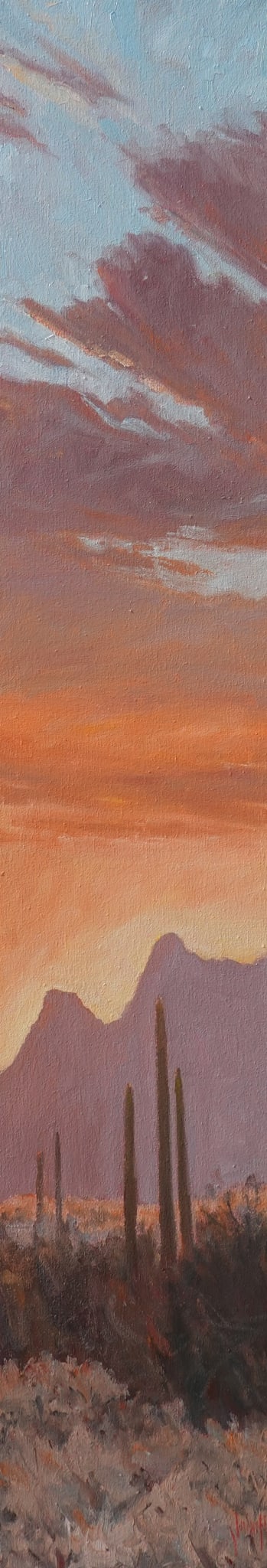 Desertscape--Desert Sunset Glow II by John Horejs