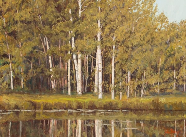 Trees--Quiet Woodland Reflections by John Horejs