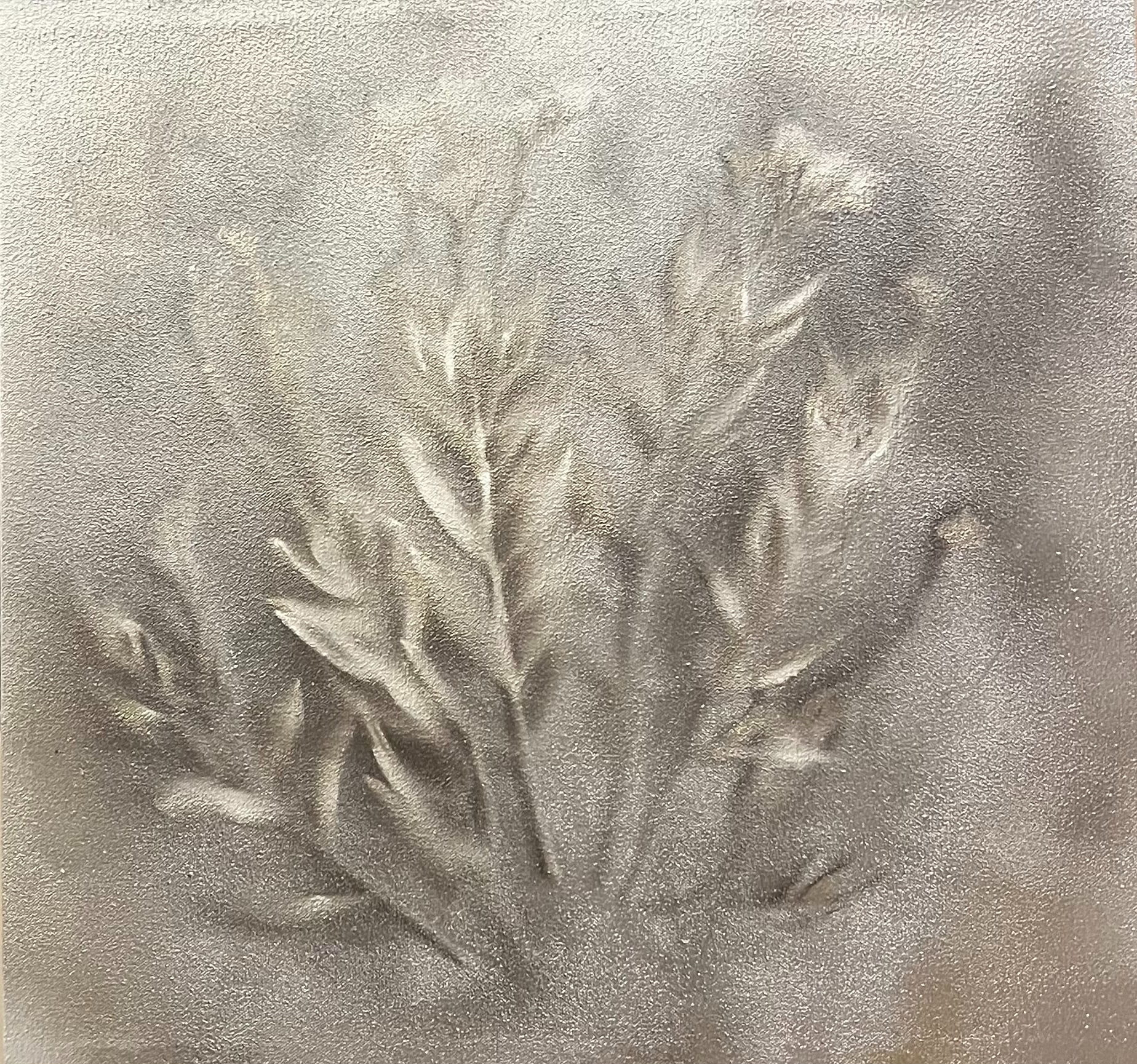 Nature 79 by John Horejs