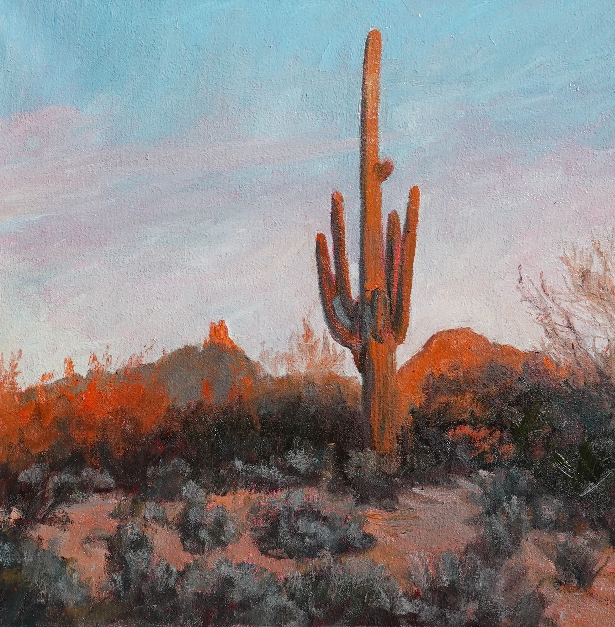 Desertscape--Desert Glow by John Horejs