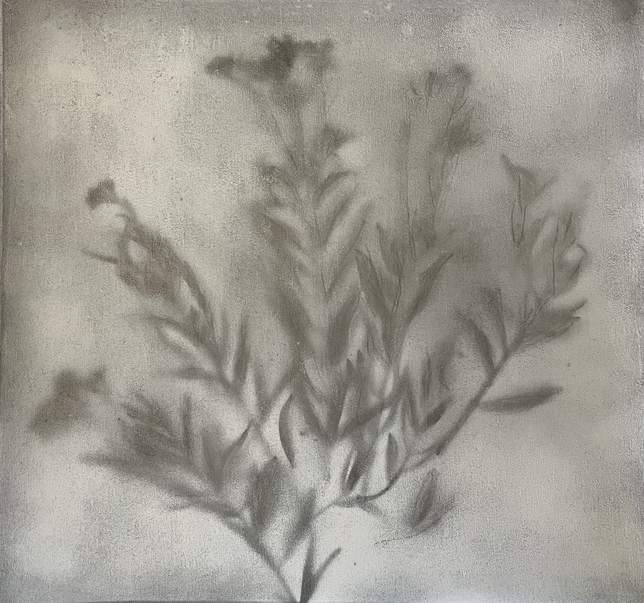 Nature 77 by John Horejs
