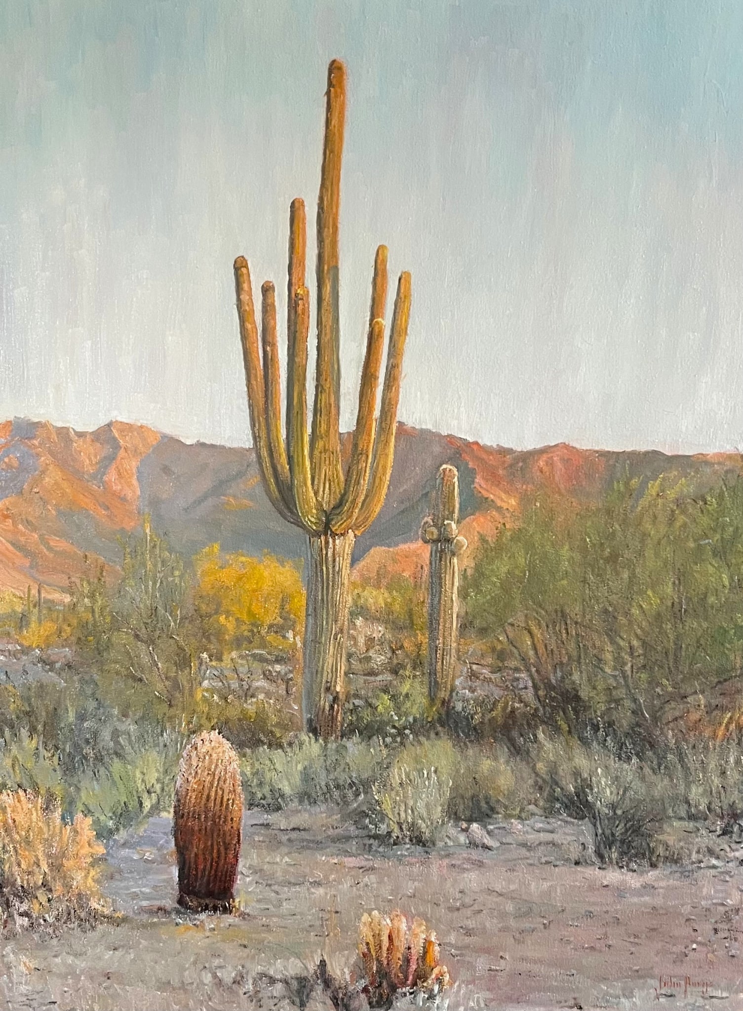 Desertscape--Desert Daybreak by John Horejs