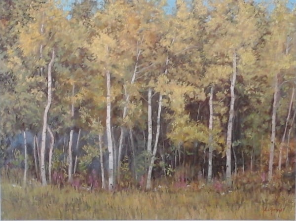 Trees--Birch Woods by John Horejs