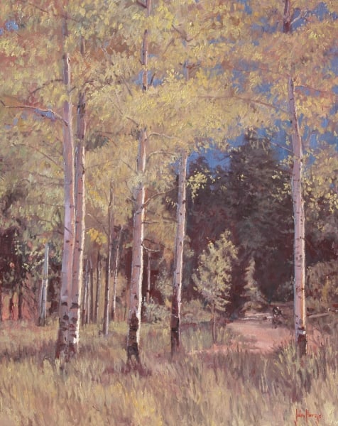 Trees-Silent Woods by John Horejs