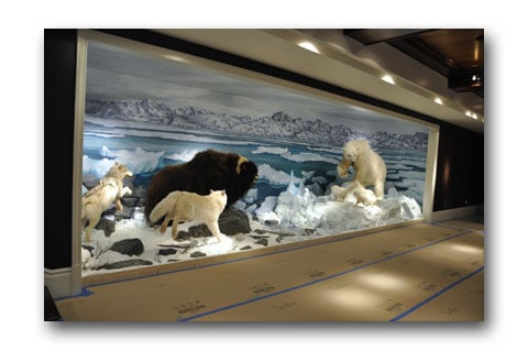 arctic by Paul Means