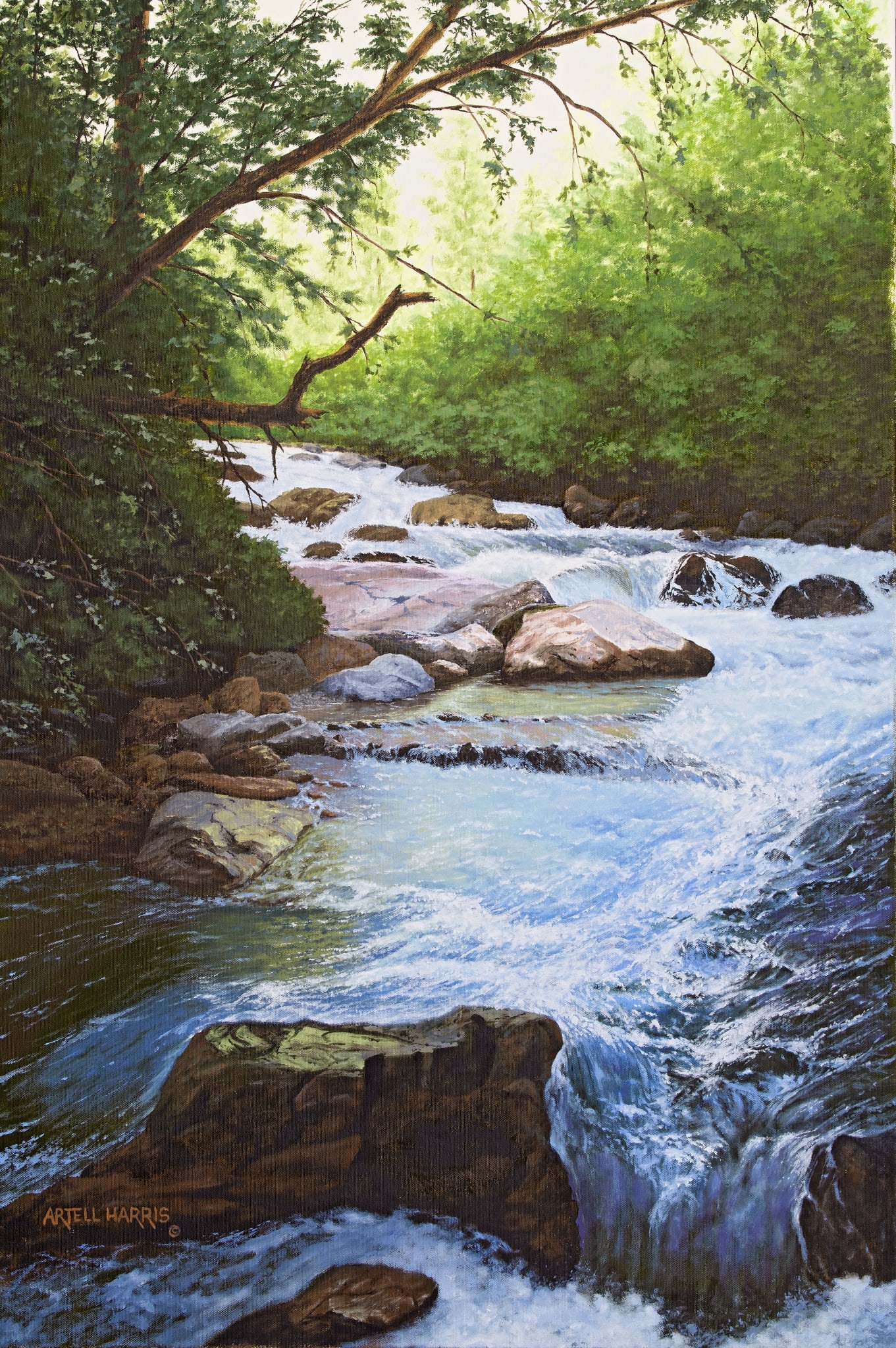 Big Cottonwood Canyon 5 by artell harris