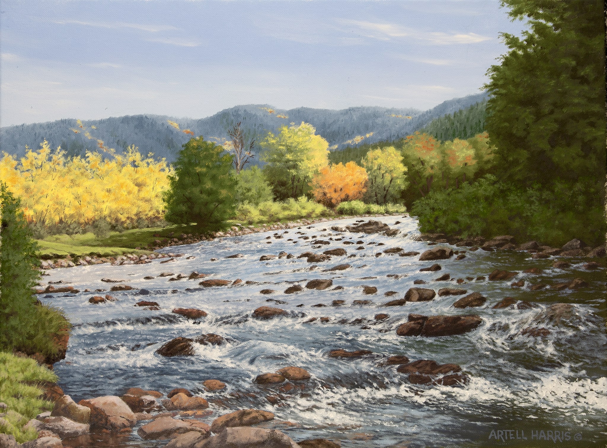 Cub River by artell harris