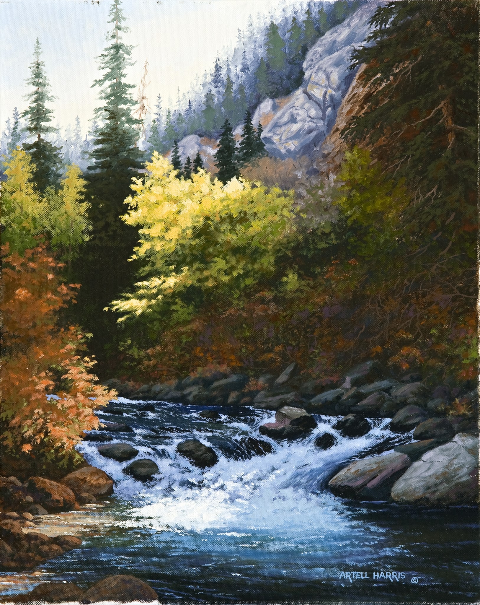 Cottonwood Creek #1 by artell harris