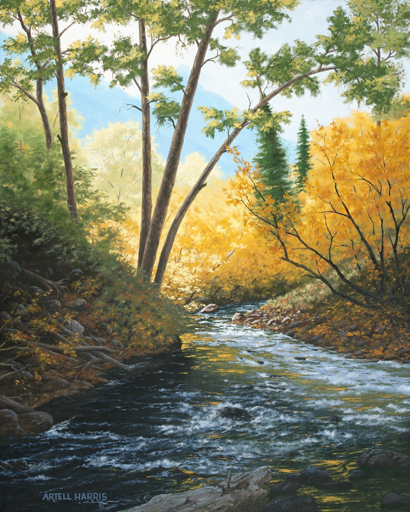 Cottonwood Creek #3 by artell harris