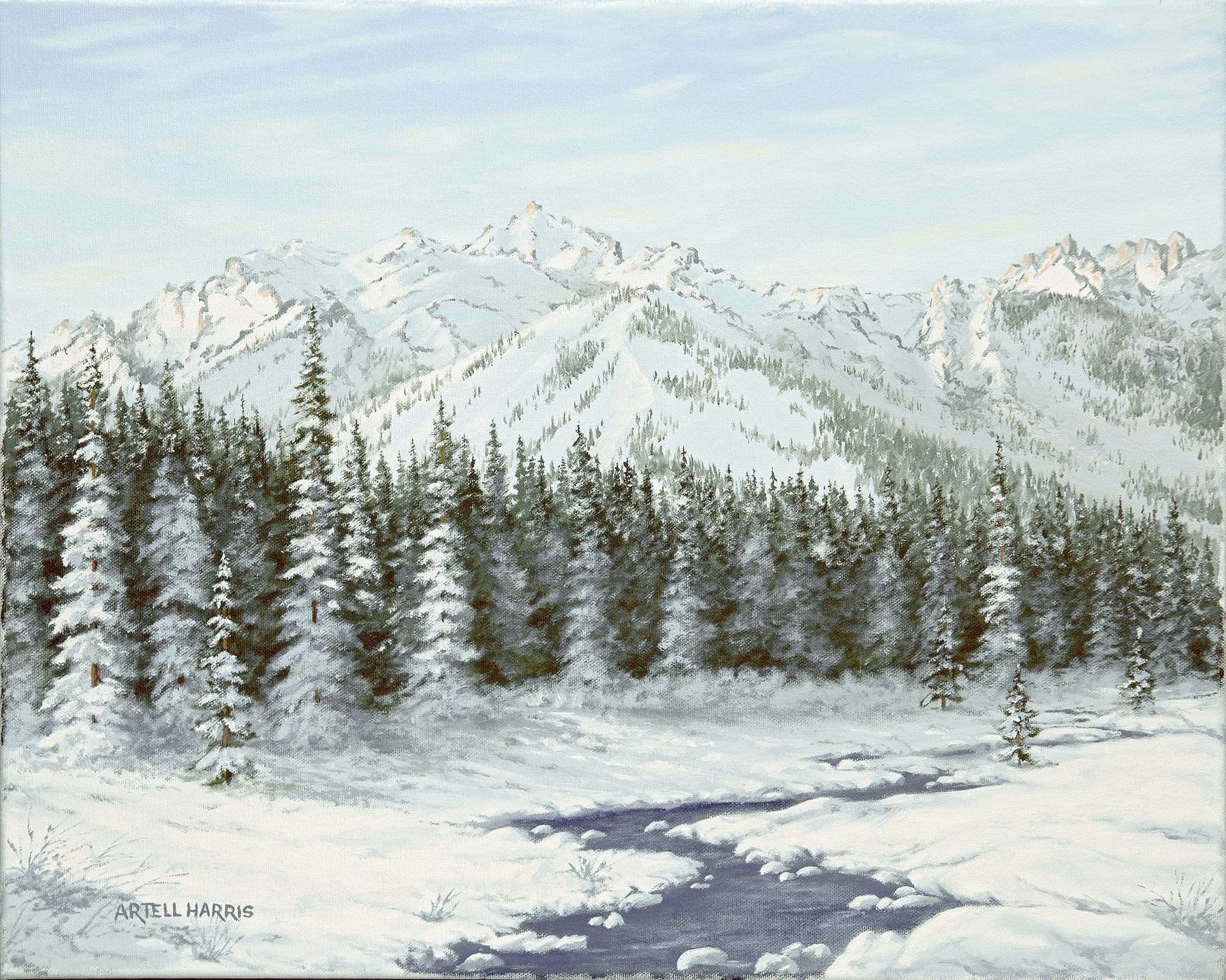 Jackson Hole Valley by artell harris