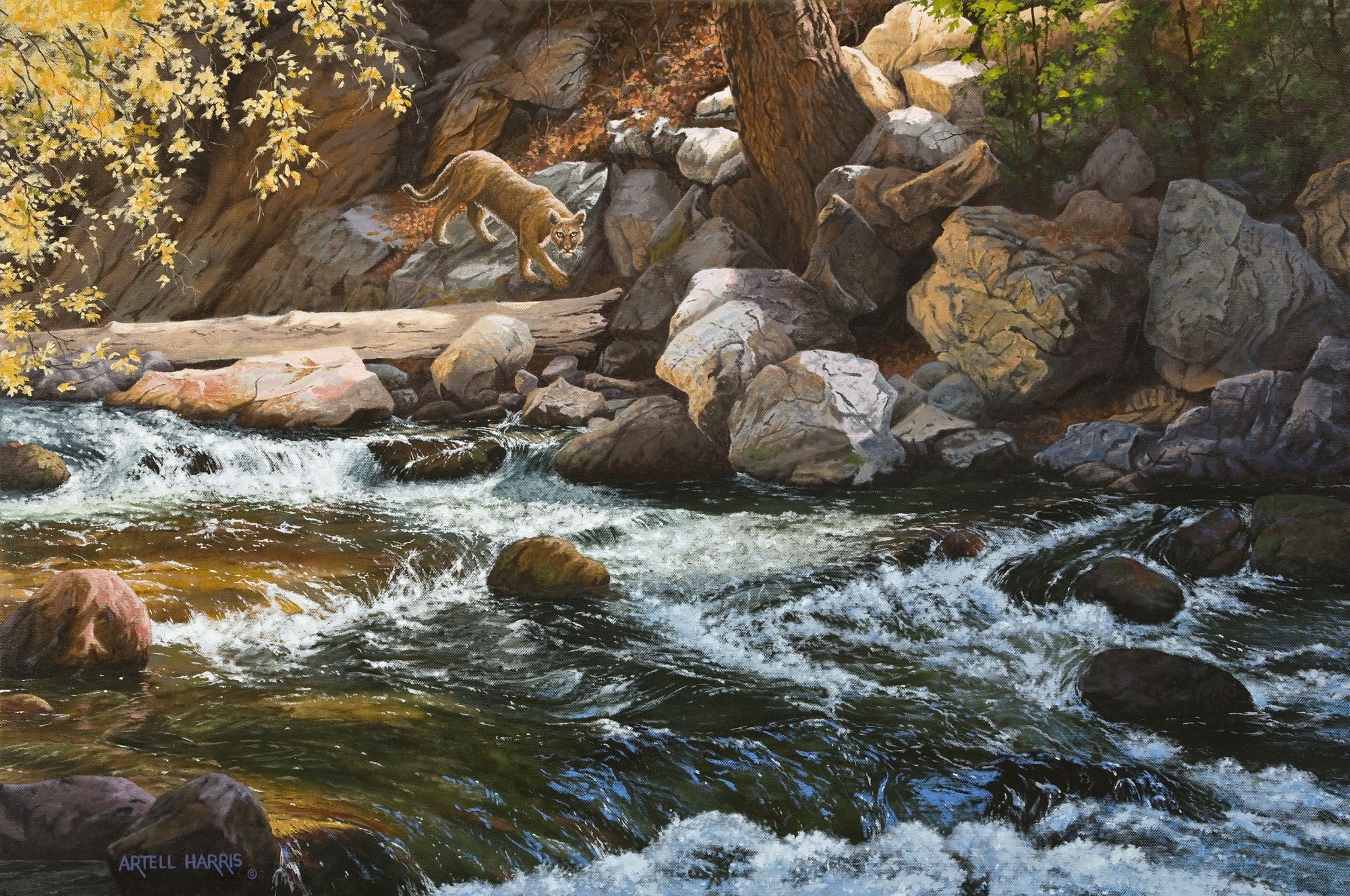 Mayor of Cottonwood Canyon by artell harris