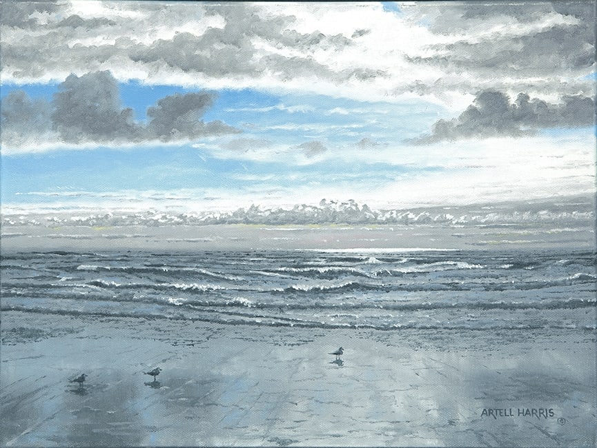 The Three Amegulls by artell harris