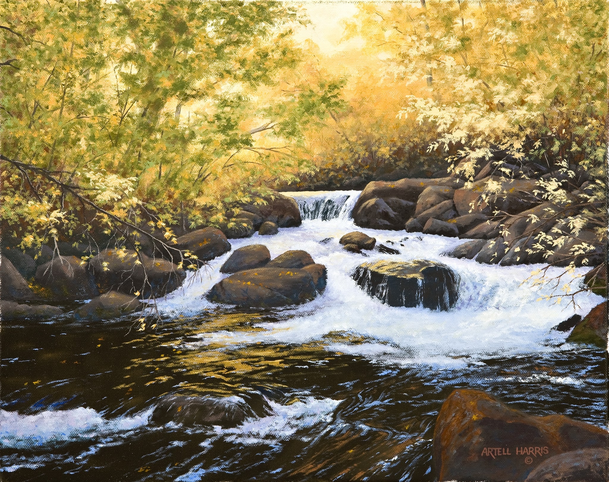 Big Cottonwood Canyon by artell harris