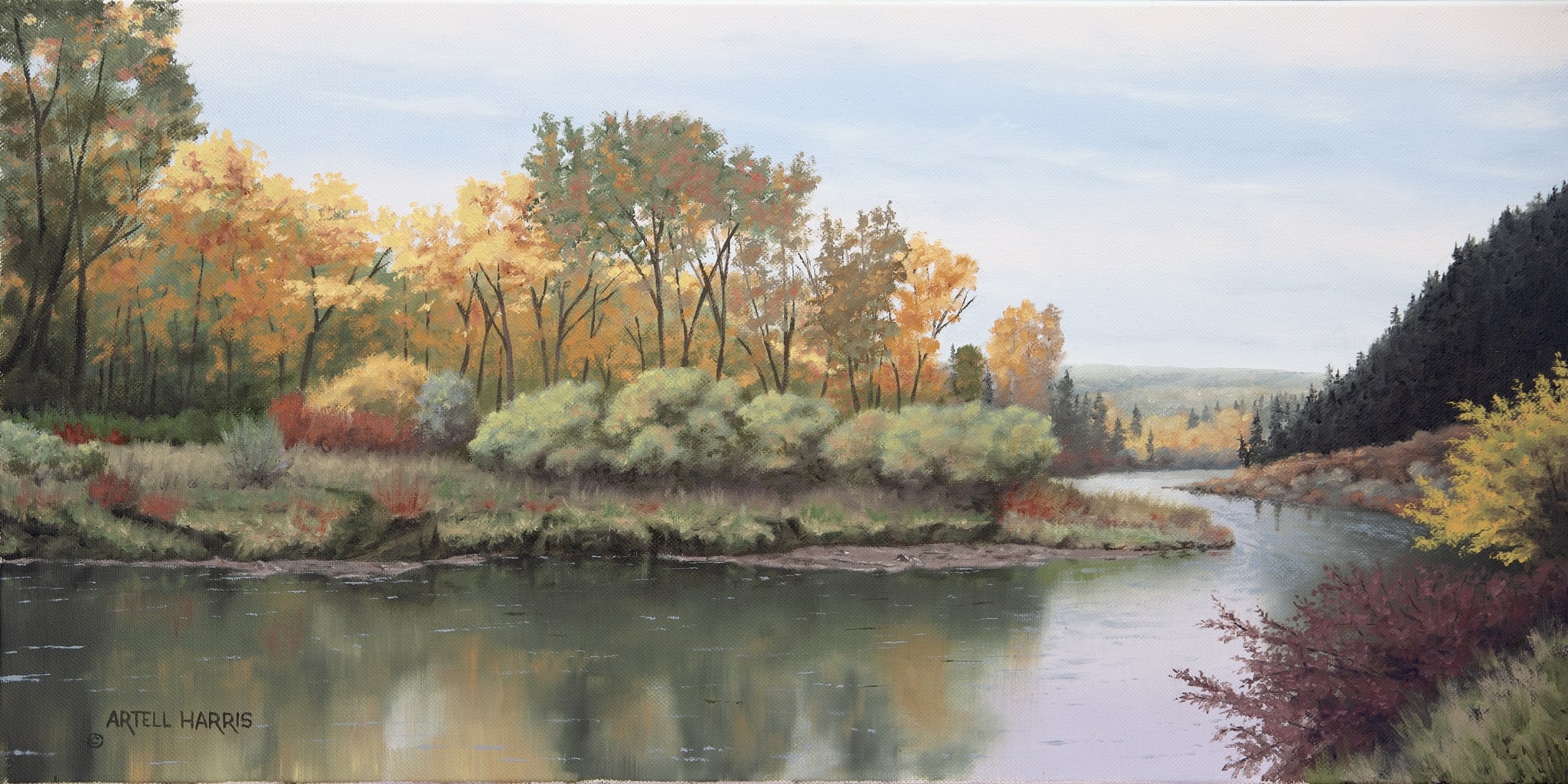 Swan Valley Tributary II by artell harris